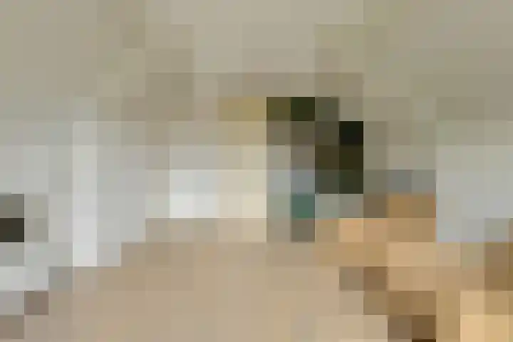 Bastion 8 Terheijden thumbnail 43