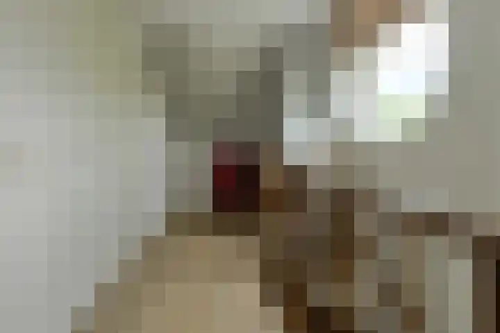 Bastion 8 Terheijden thumbnail 45