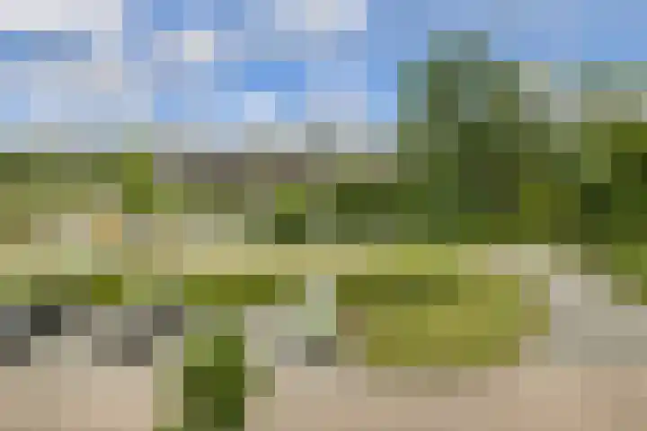 Bastion 8 Terheijden thumbnail 55