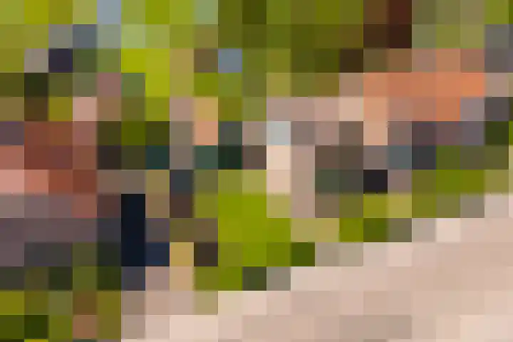 Bastion 8 Terheijden thumbnail 58