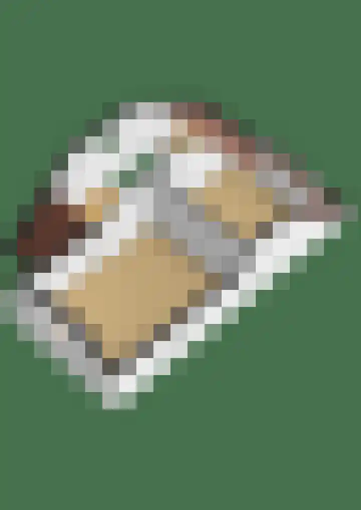 Bastion 8 Terheijden thumbnail 68