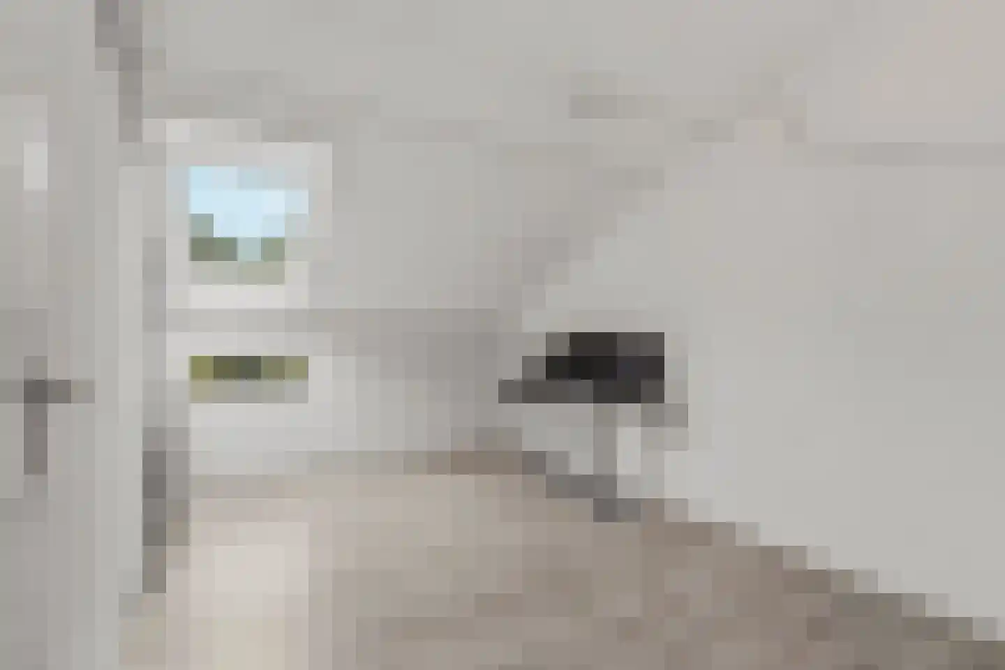 Bastion 83 Lelystad thumbnail 18