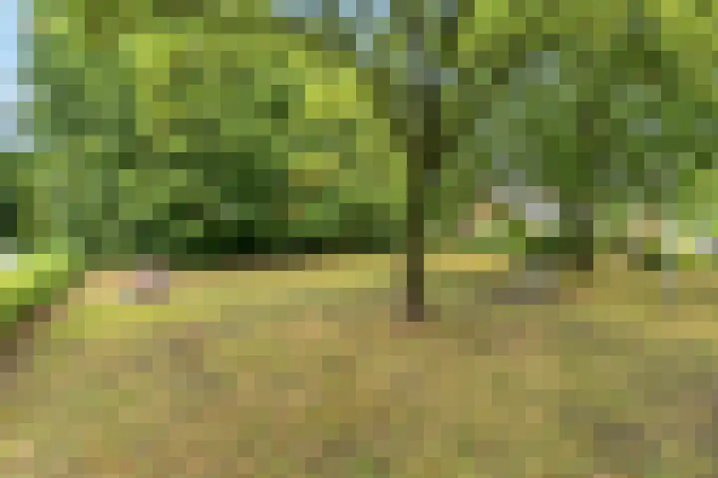 Bastion 83 Lelystad thumbnail 32