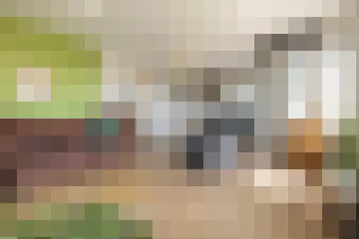 Bastion 85 Wageningen thumbnail 11