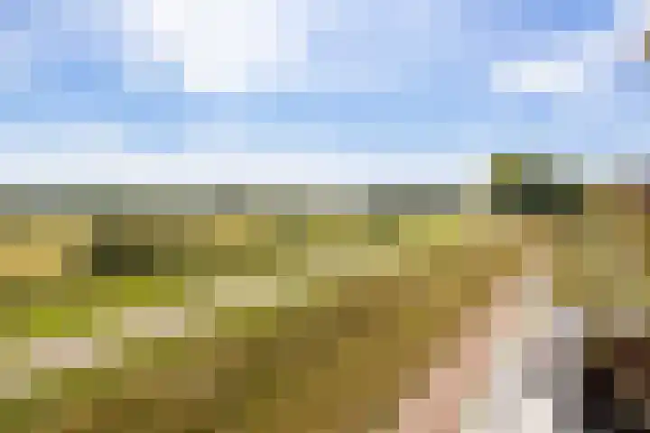 Bastion 85 Wageningen thumbnail 27