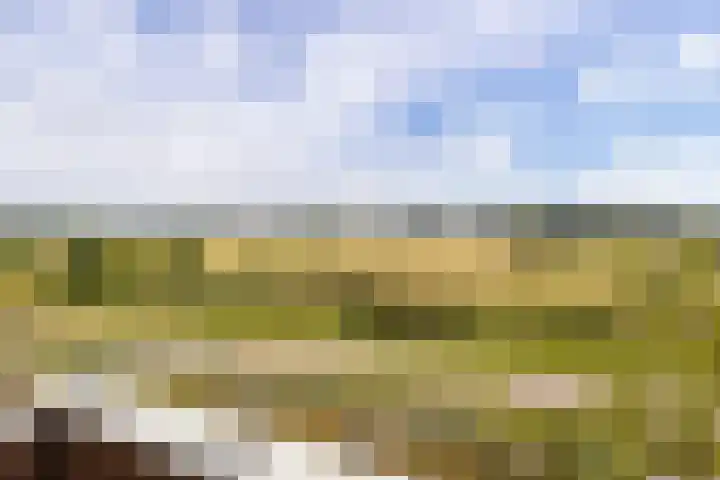 Bastion 85 Wageningen thumbnail 28