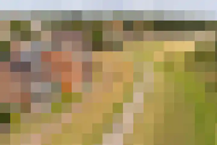 Bastion 85 Wageningen thumbnail 35