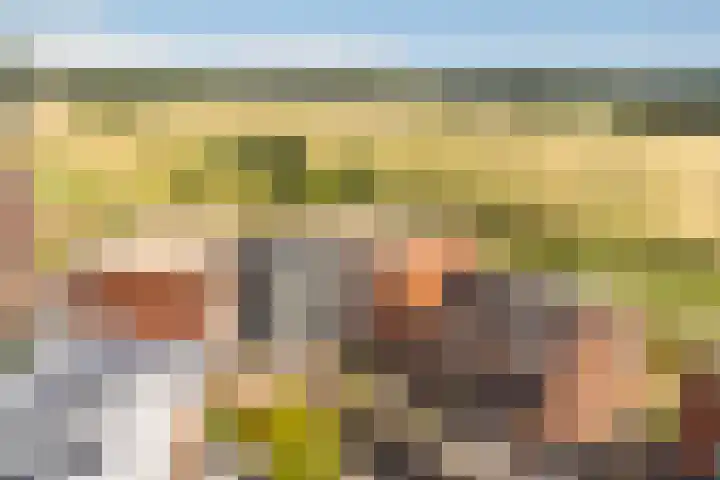 Bastion 85 Wageningen thumbnail 36