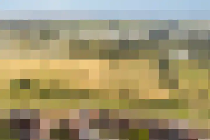 Bastion 85 Wageningen thumbnail 37