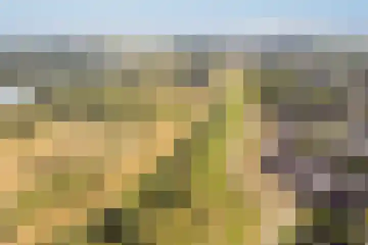 Bastion 85 Wageningen thumbnail 38