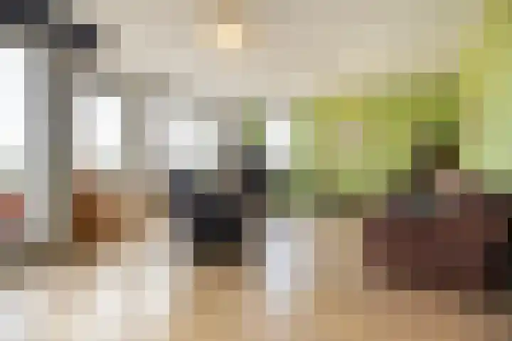 Bastion 85 Wageningen thumbnail 8