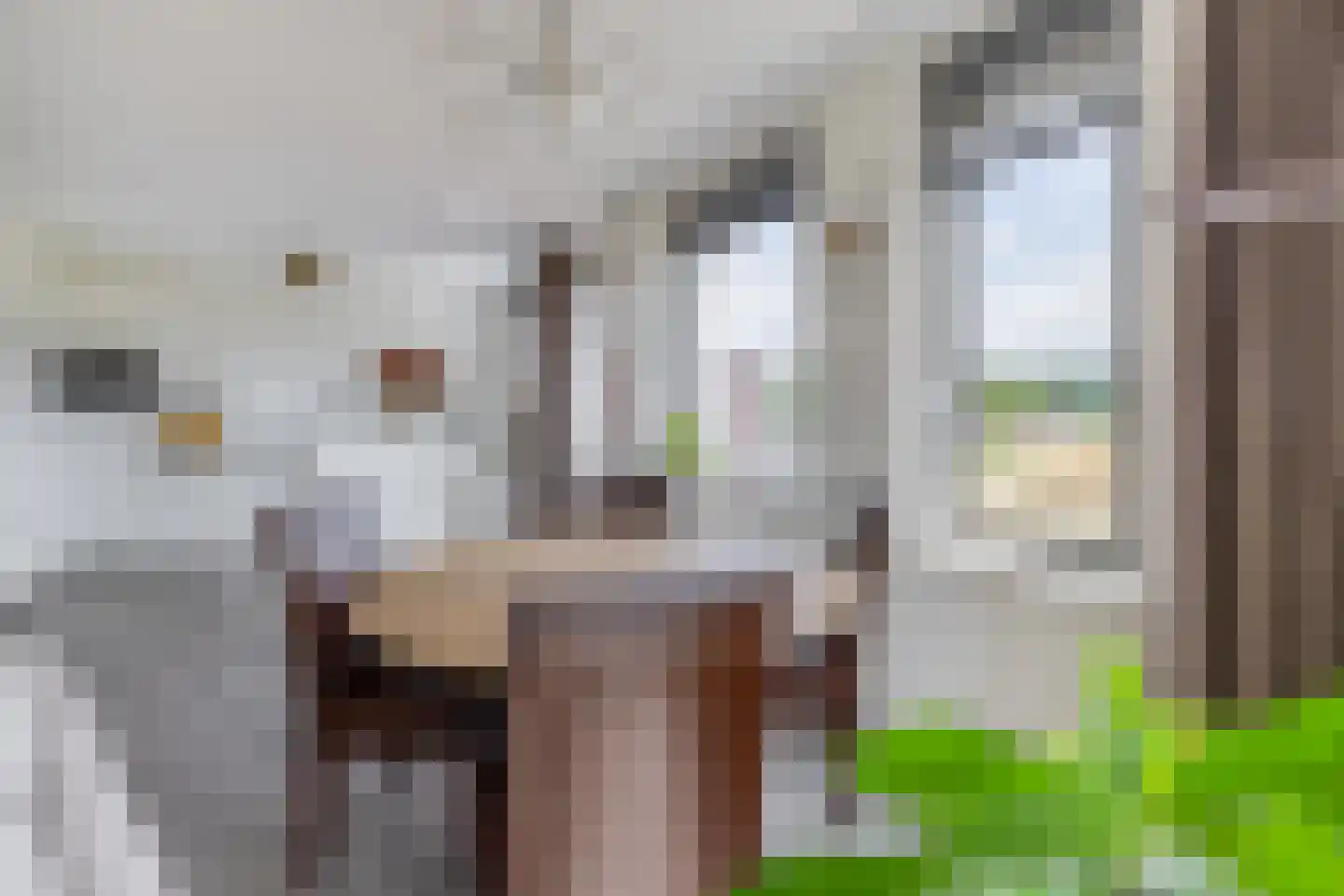 Bastion 87 Wageningen thumbnail 15