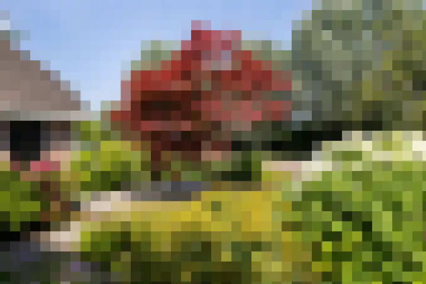 Bastion Willem 31 Woerden thumbnail 25