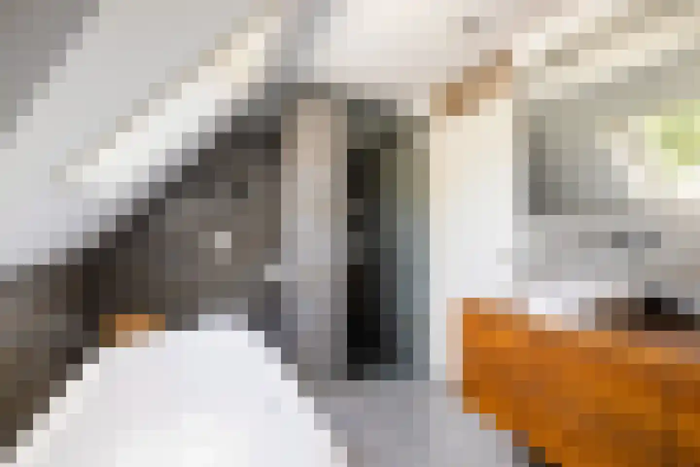 Bastion Willem 31 Woerden thumbnail 35