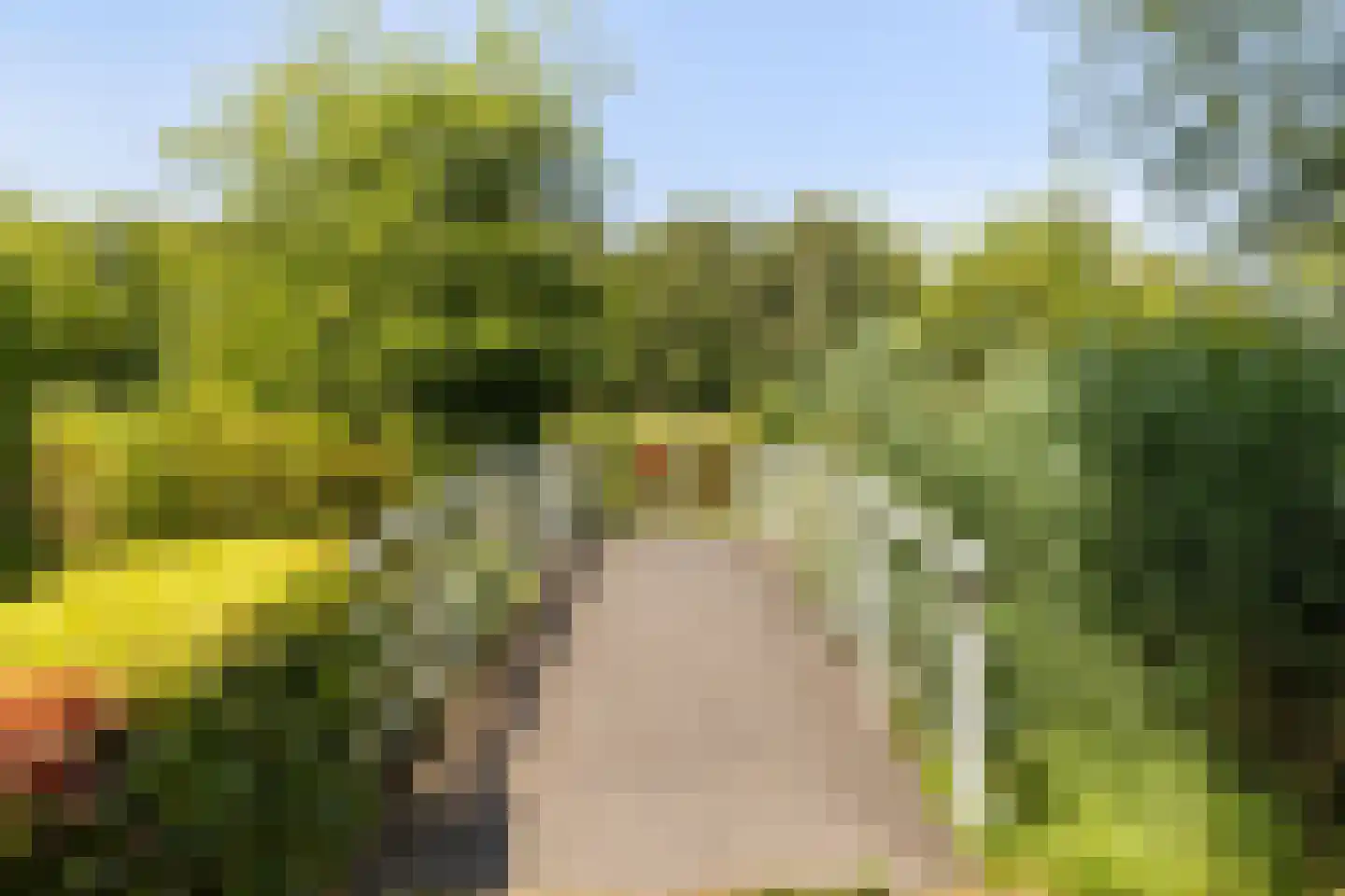 Bastion Willem 31 Woerden thumbnail 43