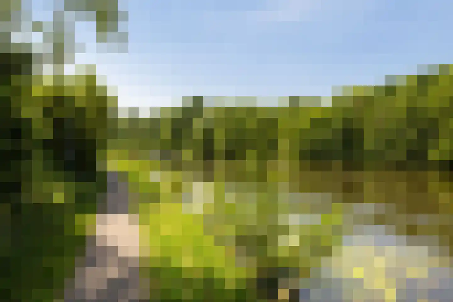 Bastion Willem 31 Woerden thumbnail 44