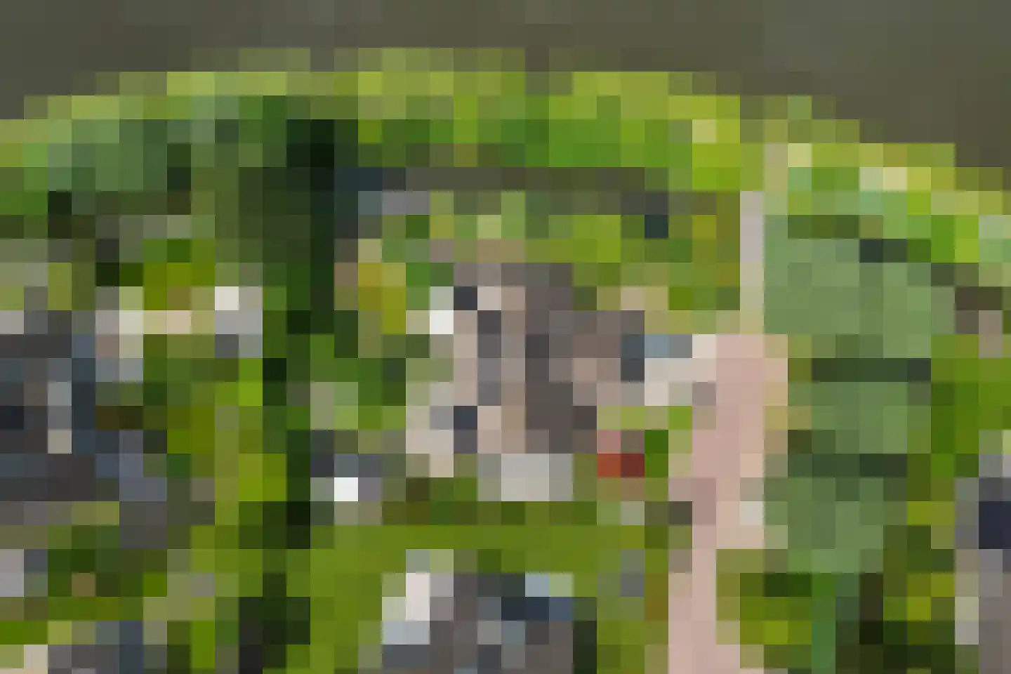 Bastion Willem 31 Woerden thumbnail 46