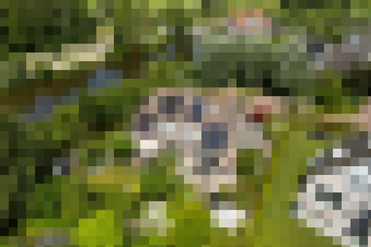 Bastion Willem 31 Woerden thumbnail 47
