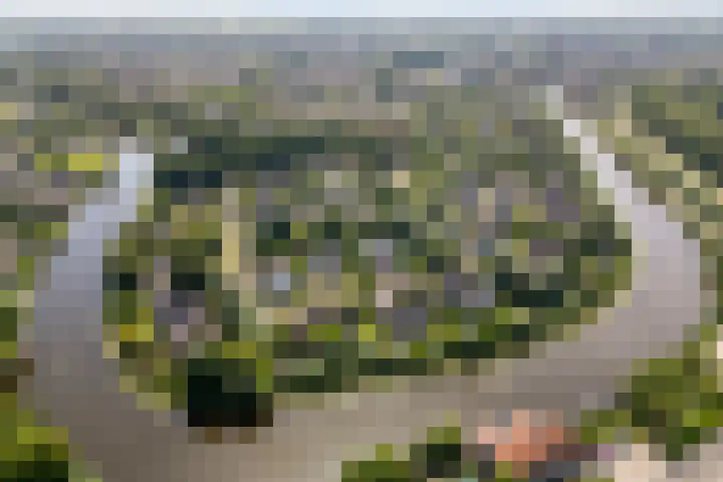 Bastion Willem 31 Woerden thumbnail 49