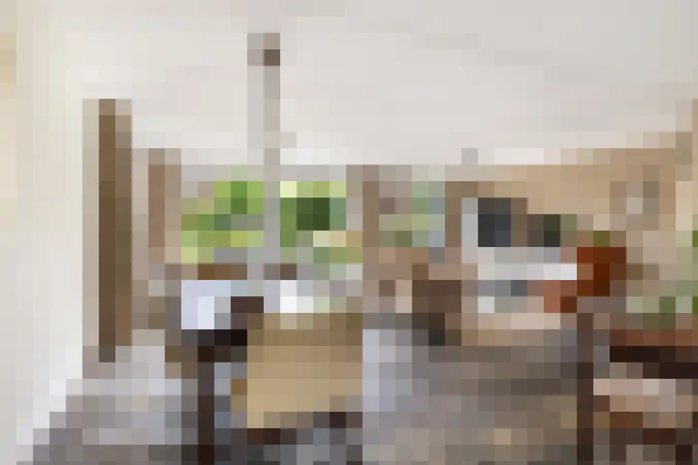 Bastion Willem 31 Woerden thumbnail 7