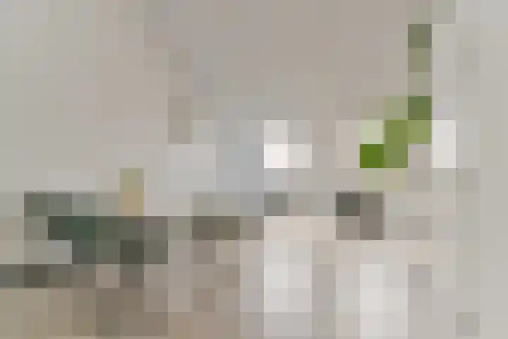 Bastionstraat 1 Hoef en Haag thumbnail 33
