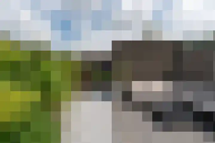 Bastionstraat 1 Hoef en Haag thumbnail 38
