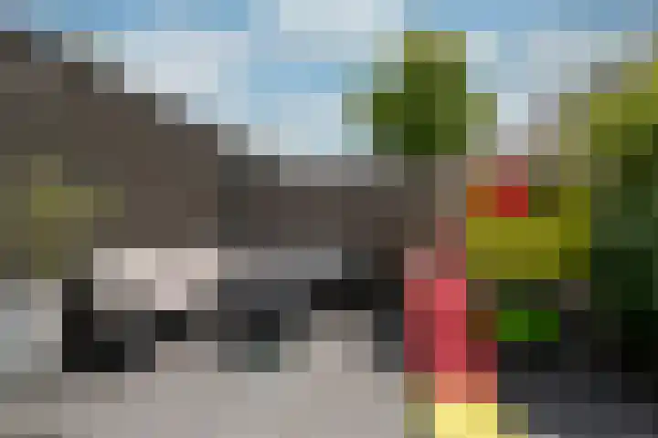 Bastionstraat 1 Hoef en Haag thumbnail 41