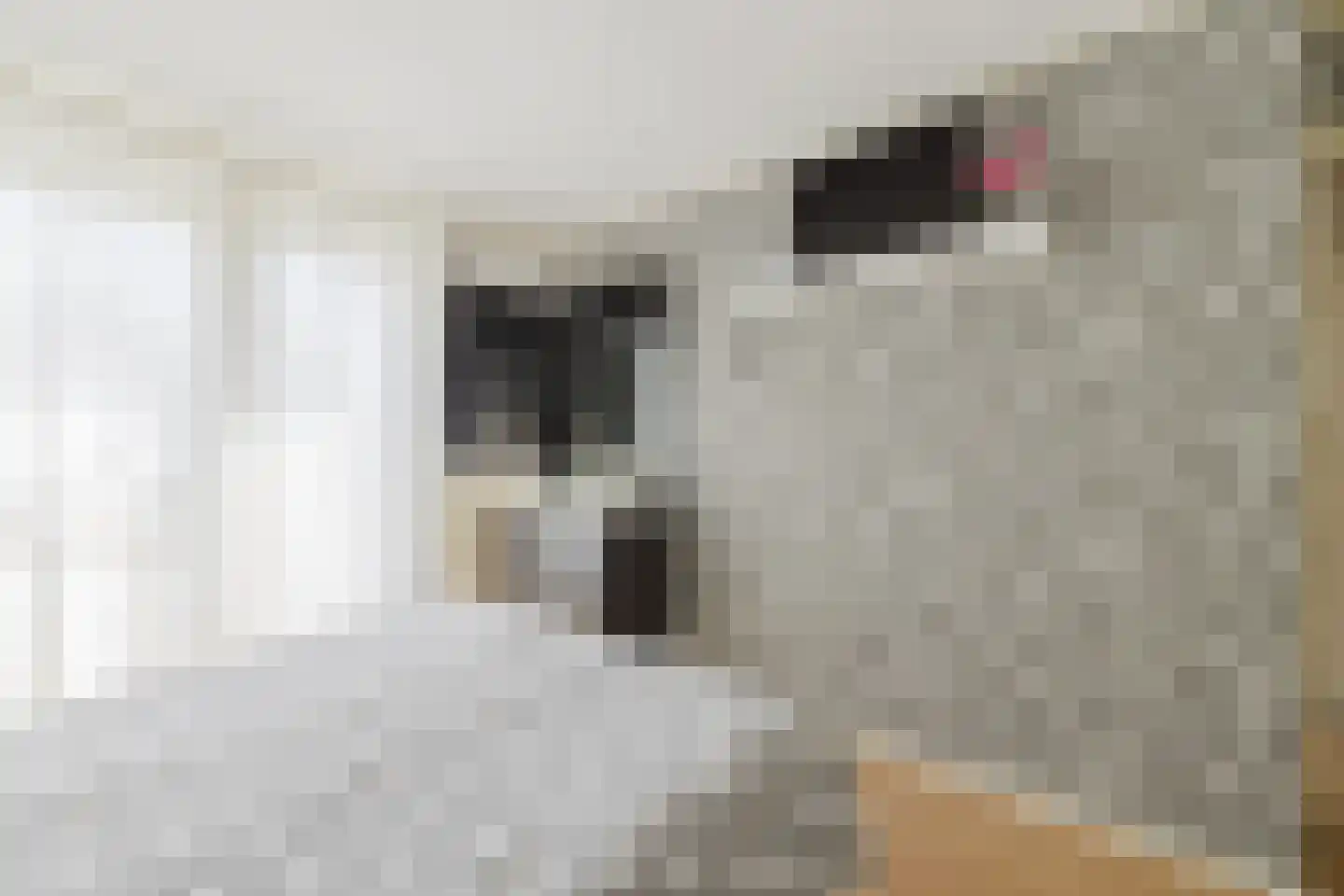 Bastionstraat 26 Breda thumbnail 17