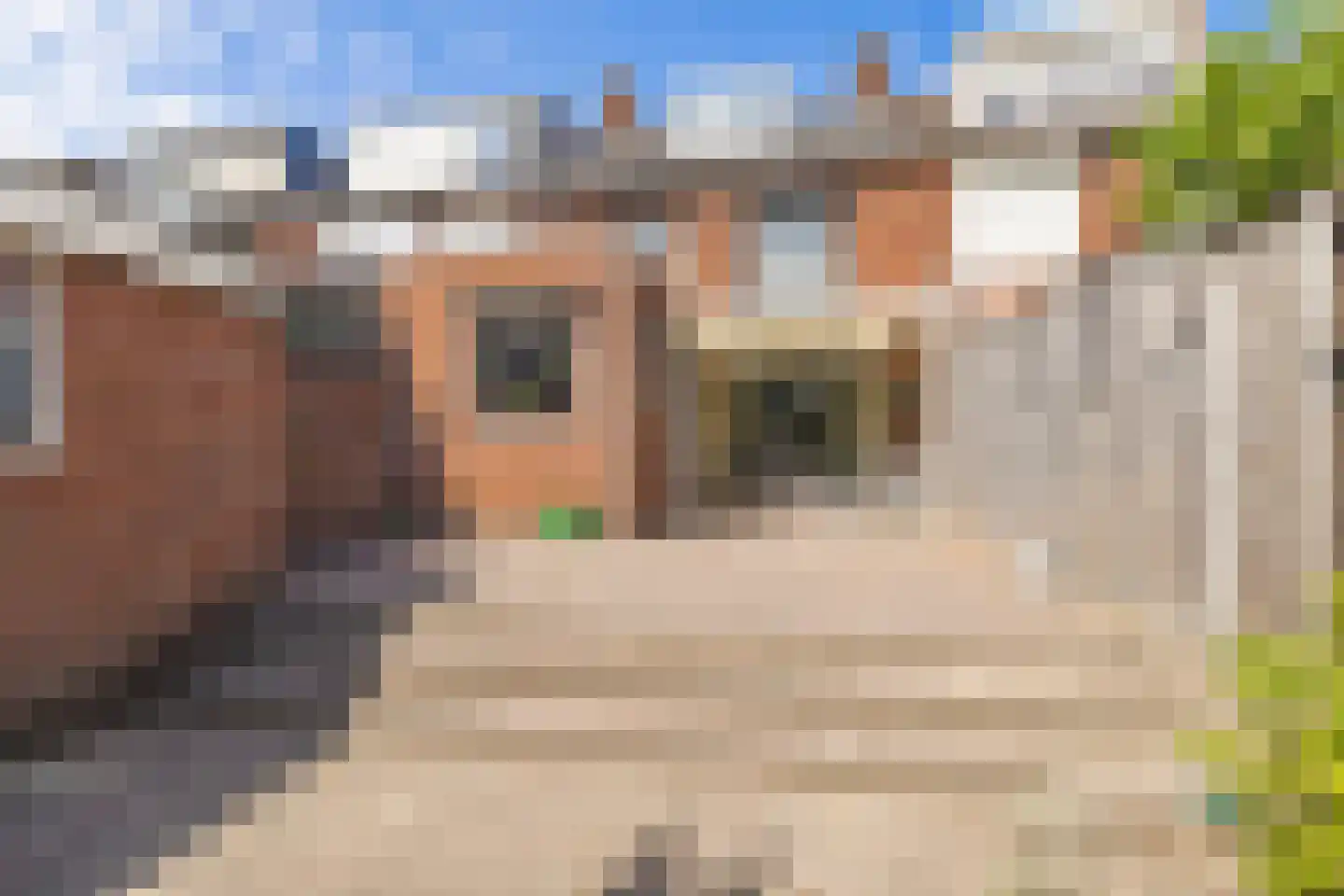 Bastionstraat 26 Breda thumbnail 29