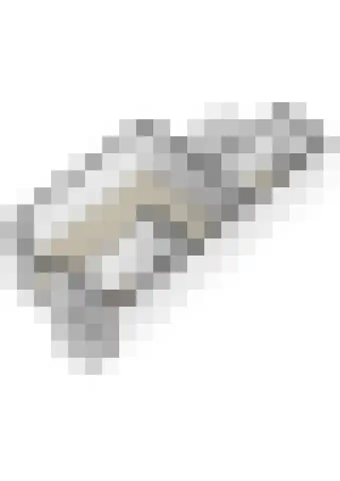 Bastionstraat 26 Breda thumbnail 36