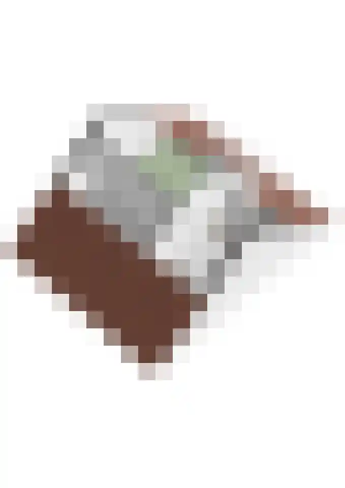 Bastionstraat 26 Breda thumbnail 38