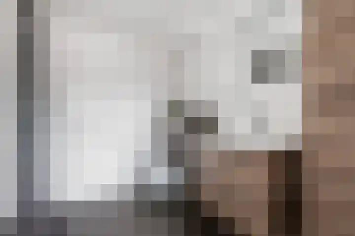Bastionstraat 3 Bredevoort thumbnail 35