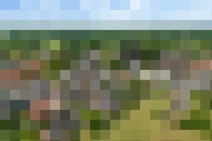 Bastionstraat 3 Bredevoort thumbnail 4