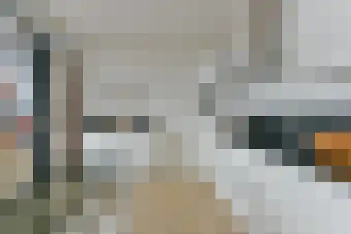 Bastionstraat 39 Hoef en Haag thumbnail 12