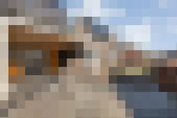 Bastionstraat 42 Zwolle thumbnail 10