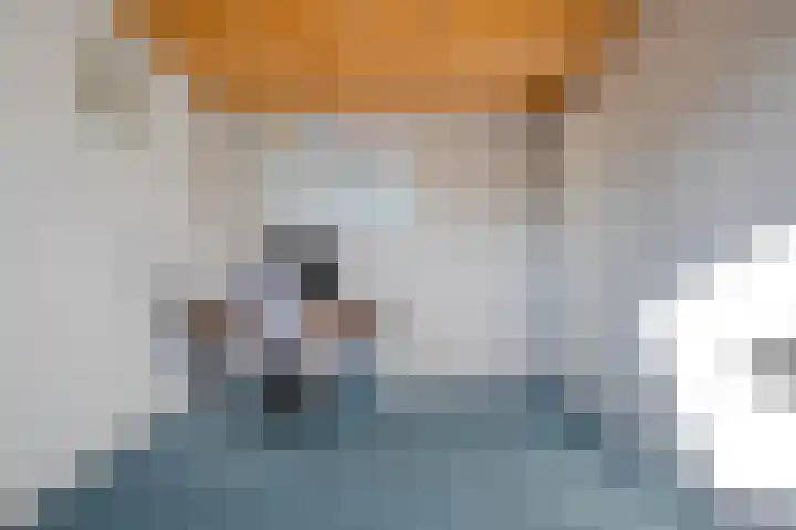 Bastionstraat 42 Zwolle thumbnail 40