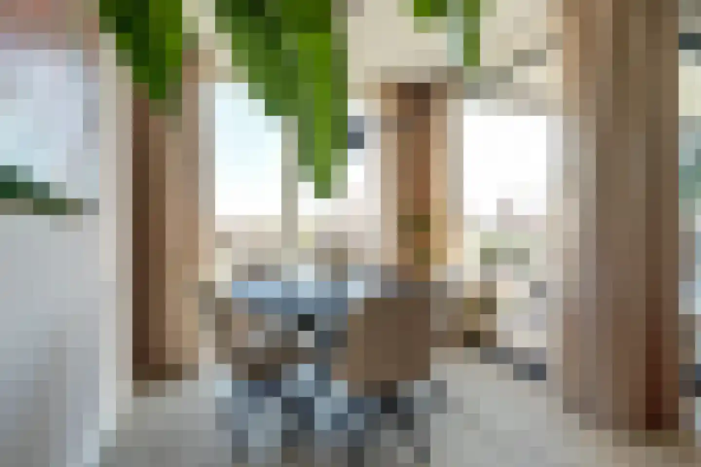 Bastionstraat 45 Hoef en Haag thumbnail 6