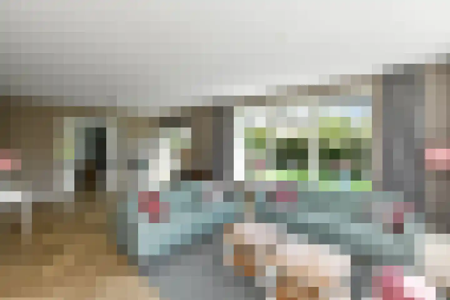 Bataaf 23 Elst thumbnail 14