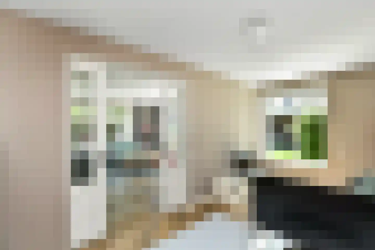 Bataaf 23 Elst thumbnail 18
