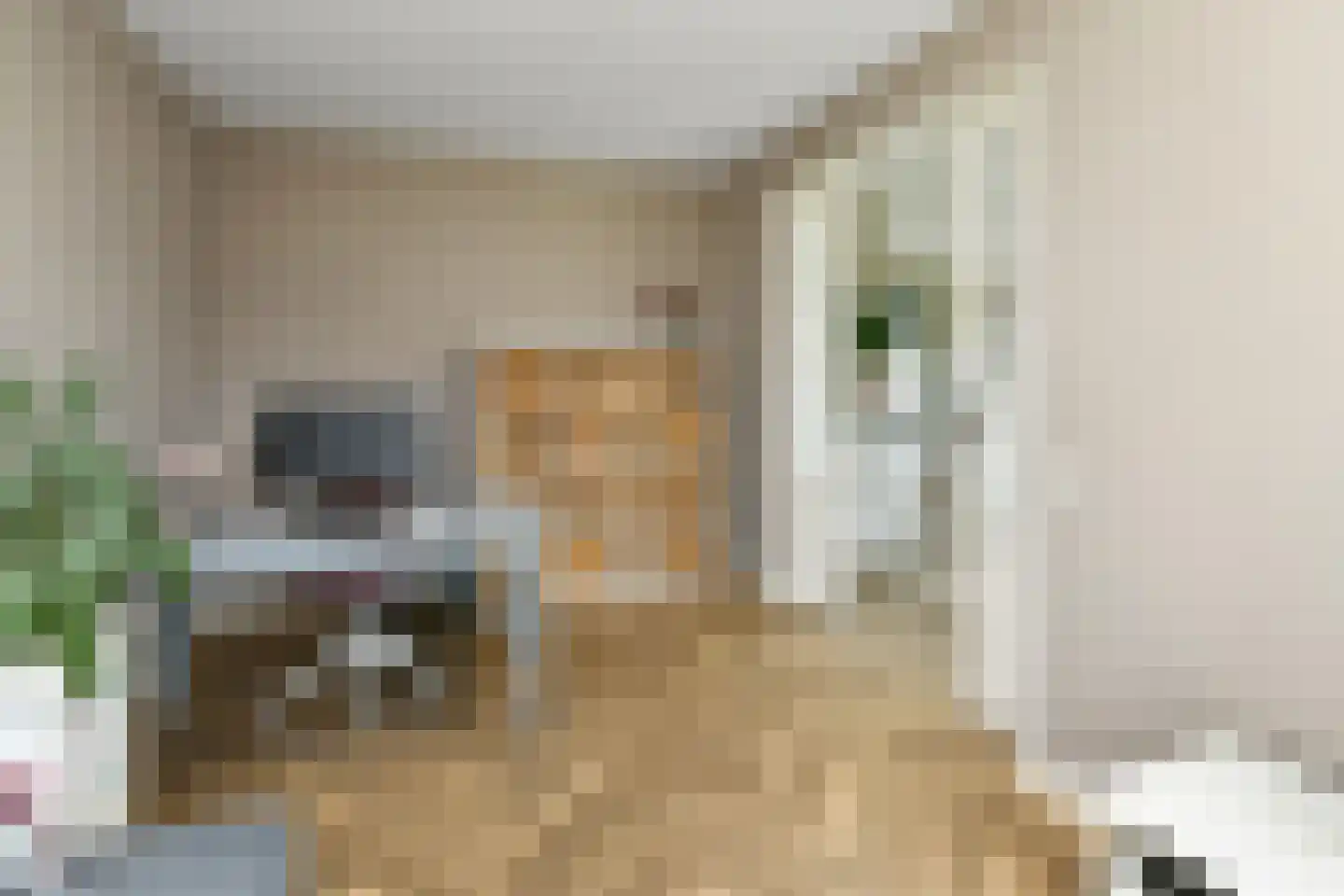 Bataaf 23 Elst thumbnail 19
