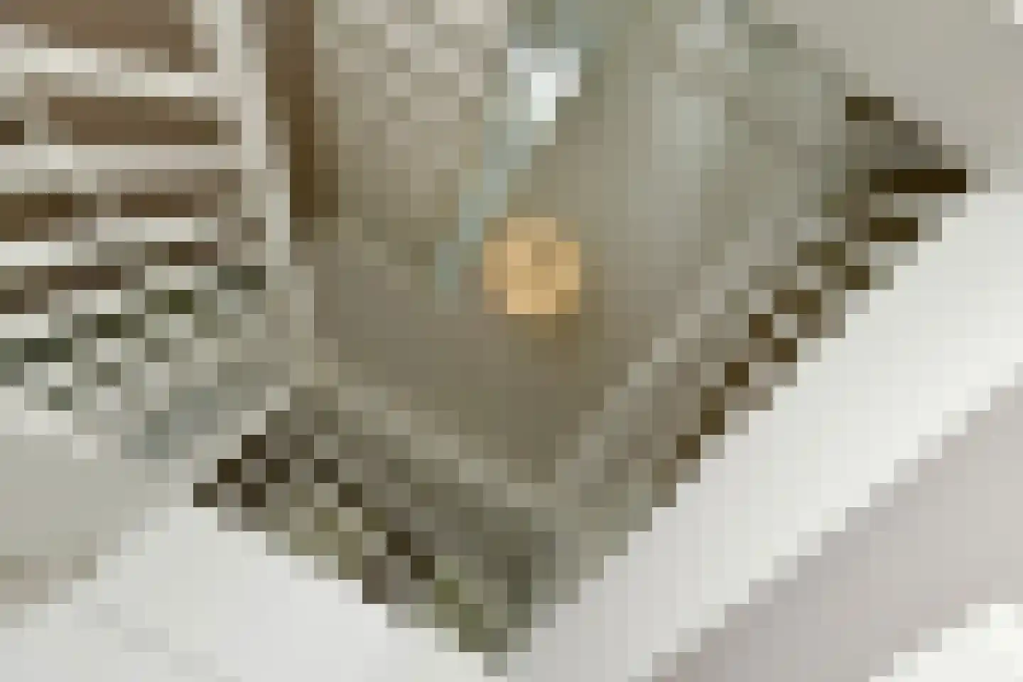 Bataaf 23 Elst thumbnail 22