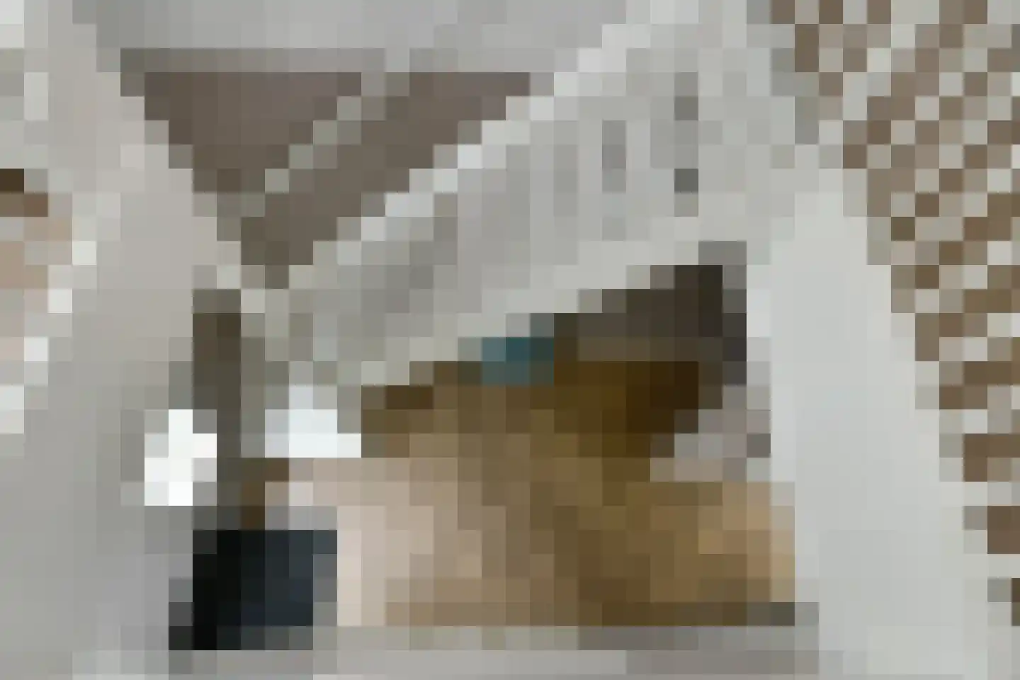 Bataaf 23 Elst thumbnail 23