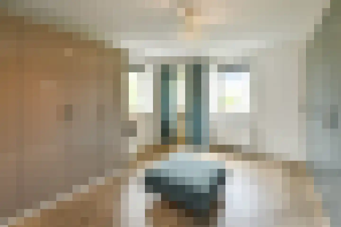 Bataaf 23 Elst thumbnail 27