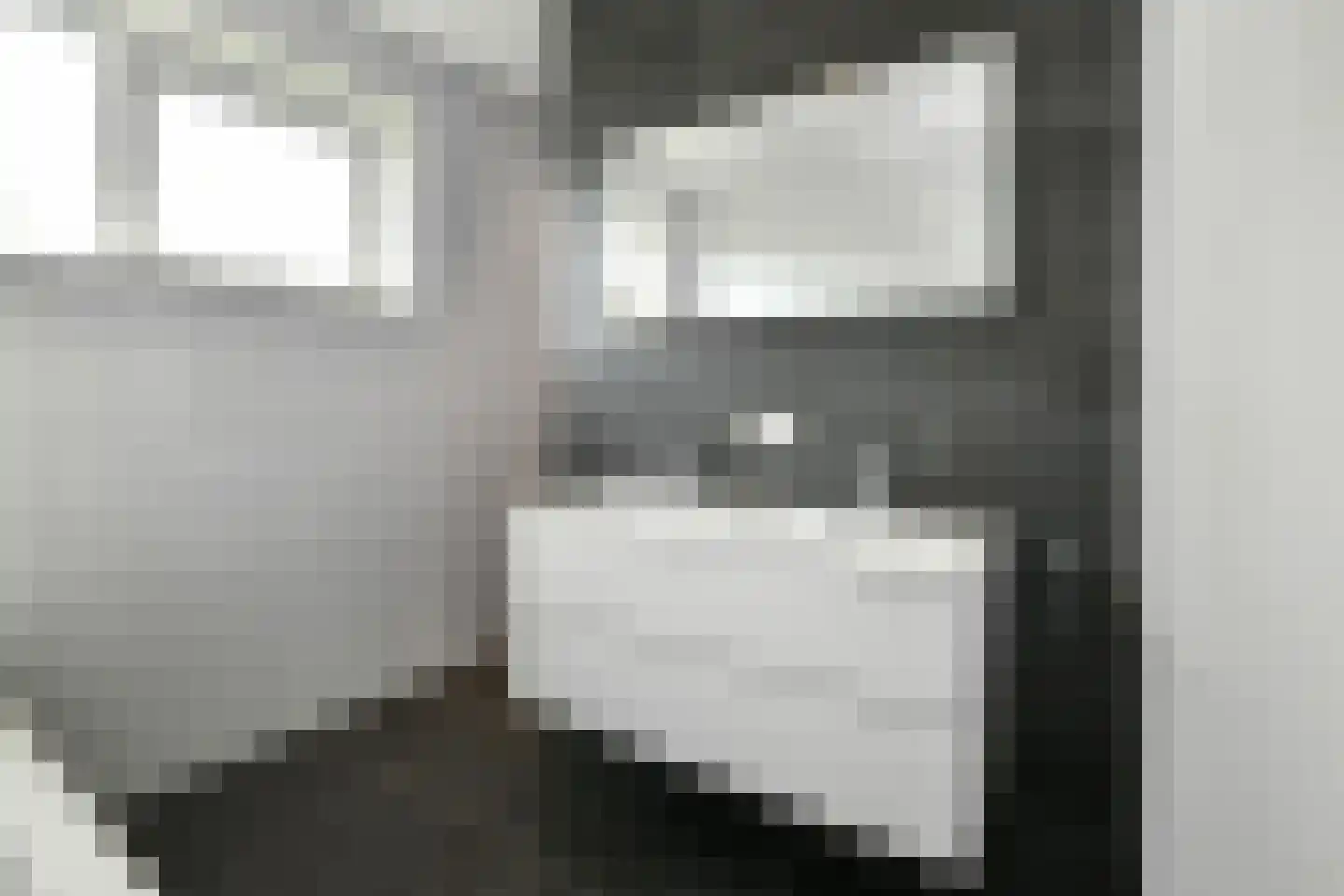 Bataaf 23 Elst thumbnail 34