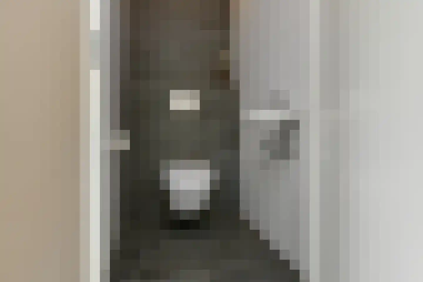 Bataaf 23 Elst thumbnail 36