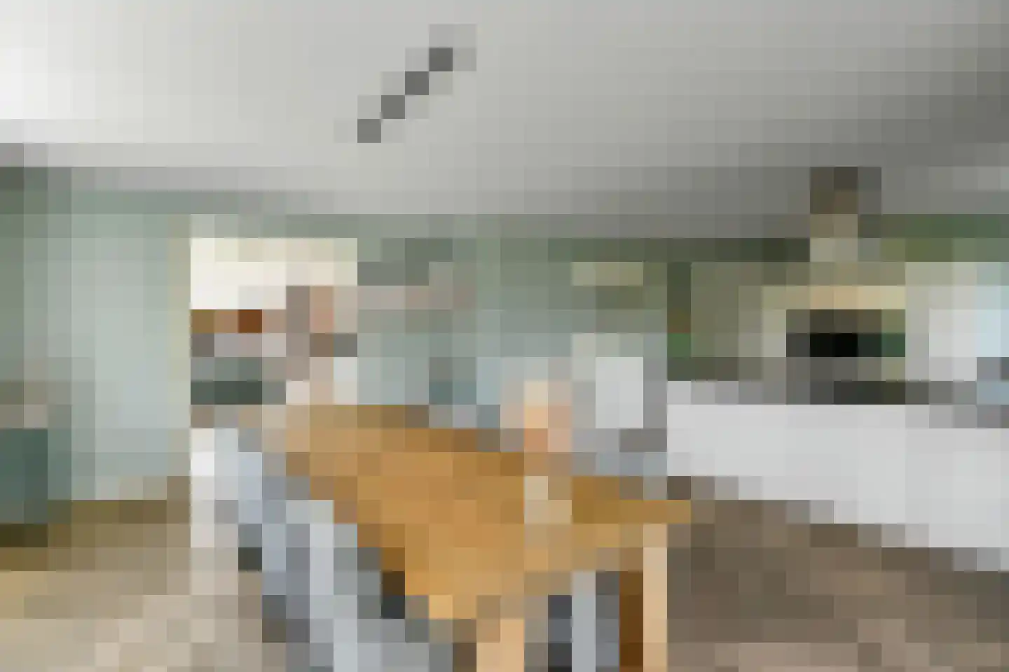 Bataaf 23 Elst thumbnail 4