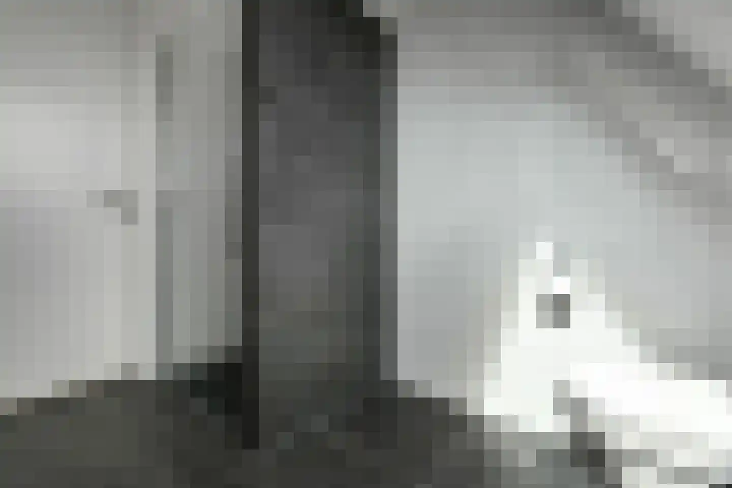 Bataaf 23 Elst thumbnail 40