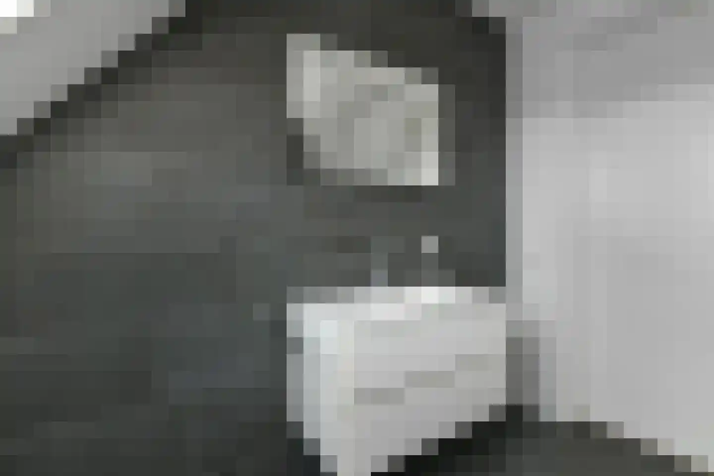 Bataaf 23 Elst thumbnail 41
