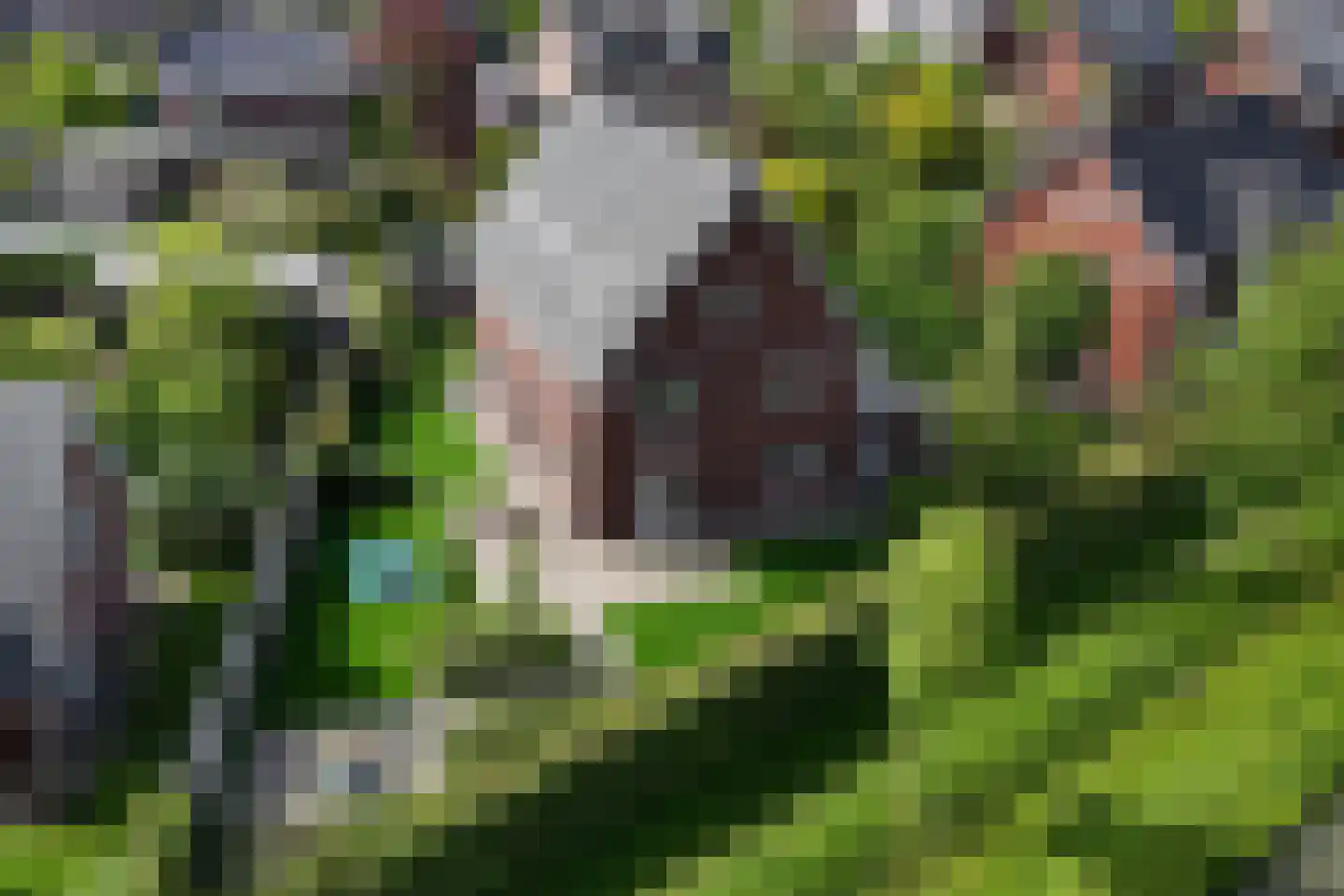 Bataaf 23 Elst thumbnail 51