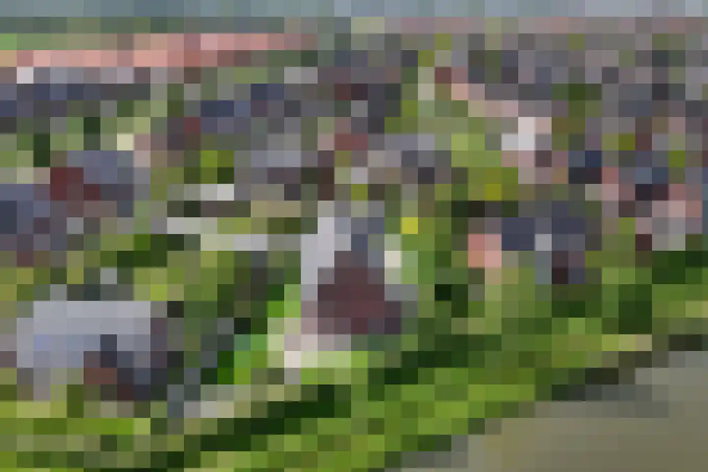 Bataaf 23 Elst thumbnail 56